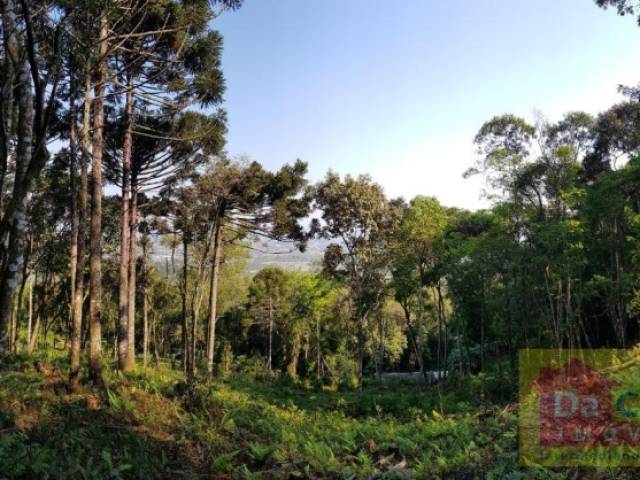 #SI0009-DCI - Sítio para Venda em Araricá - RS - 1