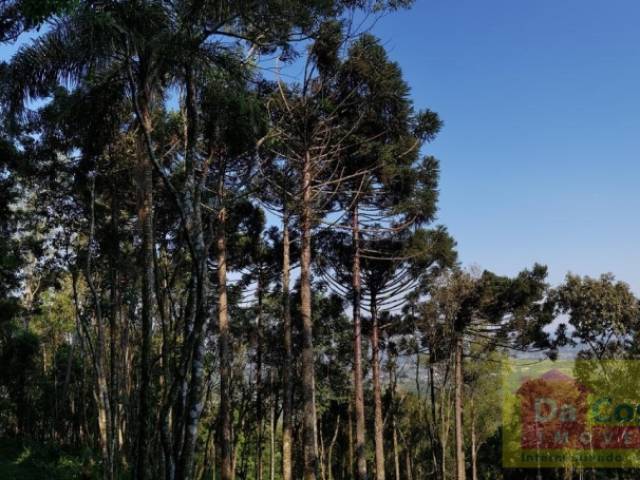 #SI0009-DCI - Sítio para Venda em Araricá - RS - 3