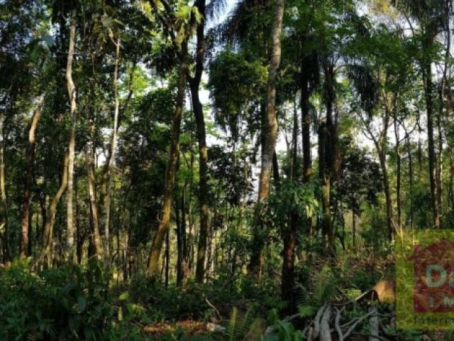 Sítio para Venda em Araricá - 4