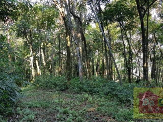 Sítio para Venda em Araricá - 5