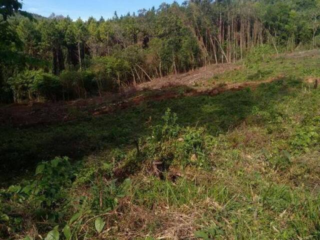 #SI0005 - Sítio para Venda em Riozinho - RS - 2
