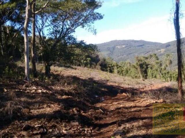 Sítio para Venda em Riozinho - 4