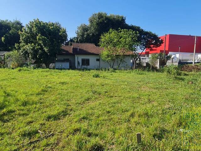 #TE0099-DCI - Terreno para Venda em Sapiranga - RS - 1
