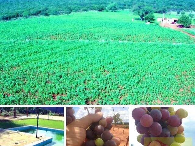 #FA0034-DCI - Fazenda para Venda em Dom Inocêncio - PI - 1