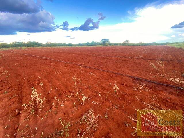 #FA0034-DCI - Fazenda para Venda em Dom Inocêncio - PI - 3