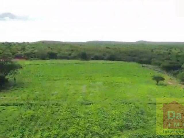 #FA0034-DCI - Fazenda para Venda em Dom Inocêncio - PI - 3
