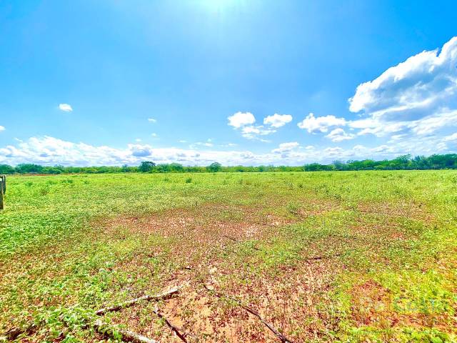 #FA0034-DCI - Fazenda para Venda em Dom Inocêncio - PI - 1