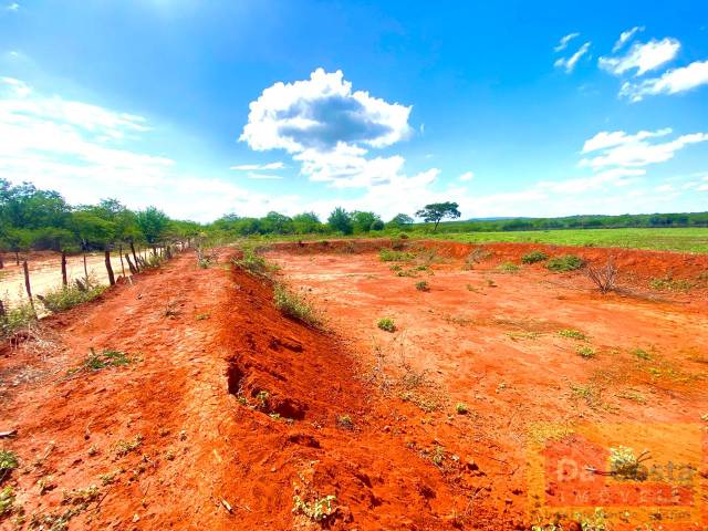 #FA0034-DCI - Fazenda para Venda em Dom Inocêncio - PI - 1