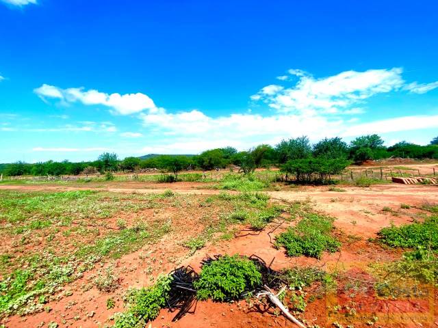 Fazenda para Venda em Dom Inocêncio - 4