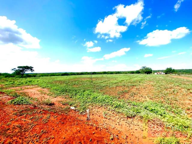 #FA0034-DCI - Fazenda para Venda em Dom Inocêncio - PI - 1