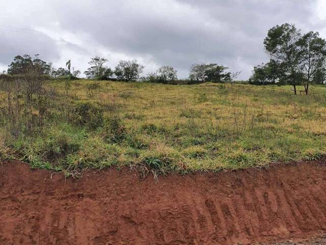 #TE0105-DCI - Área para Venda em Taquara - RS - 1