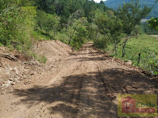 Sítio para Venda em Riozinho - 5