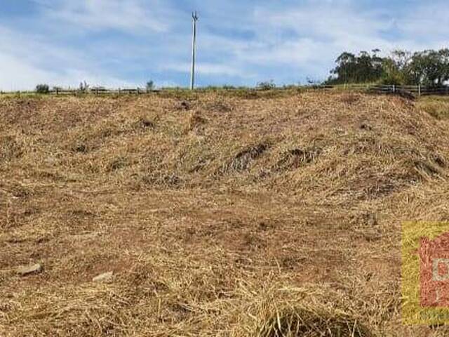 Área para Venda em Taquara - 4