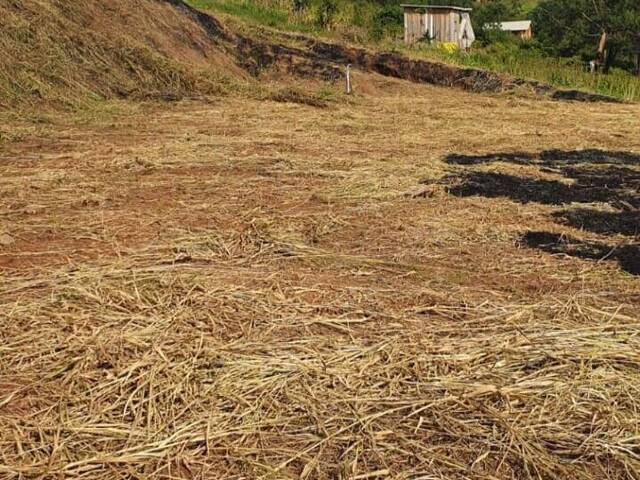 Área para Venda em Taquara - 5