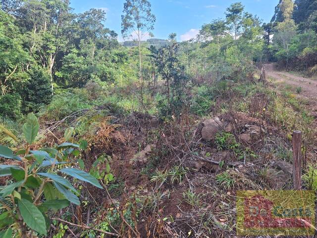 Sítio para Venda em Riozinho - 4