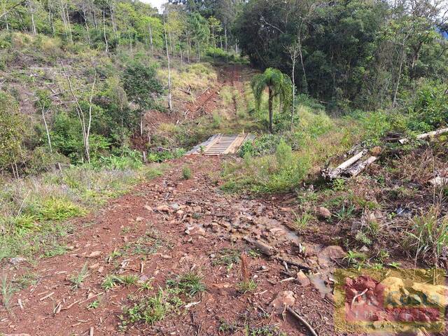 Sítio para Venda em Riozinho - 5