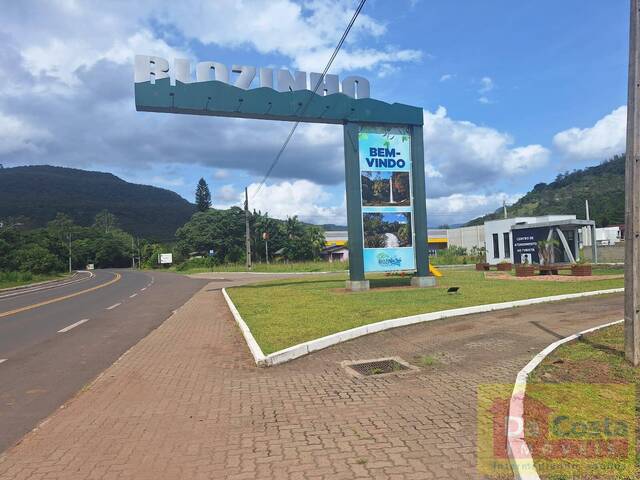 Venda em Zona Rural - Riozinho