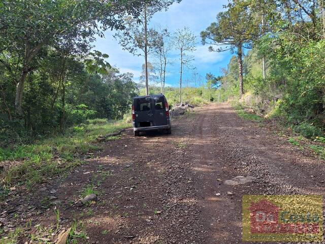 #SI0006-DCI - Sítio para Venda em Riozinho - RS - 3