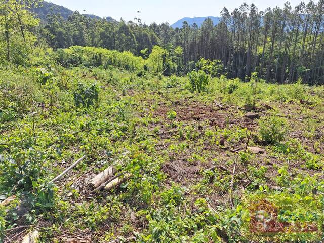 #SI0007-DCI - Sítio para Venda em Riozinho - RS - 2