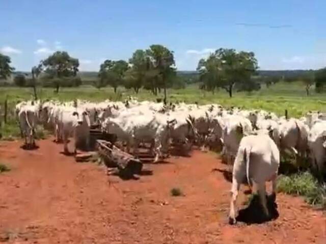 Fazenda para Venda em Santa Rita do Pardo - 5