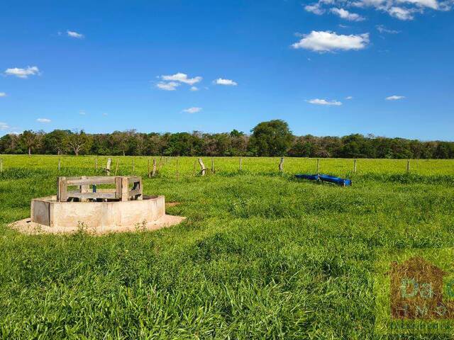 #FA0036-DCI - Fazenda para Venda em Santa Rita do Pardo - MS - 3