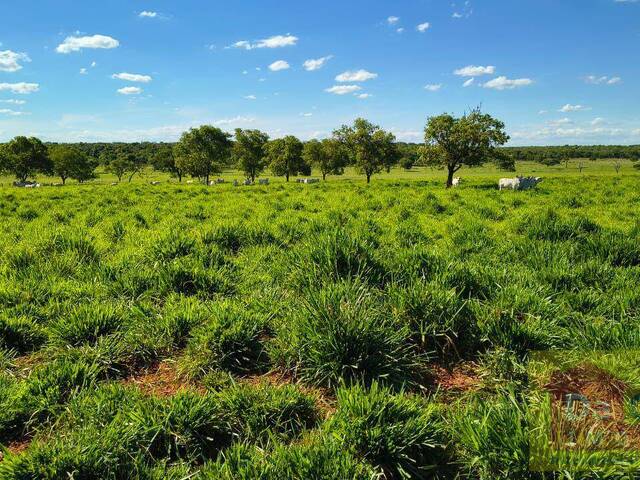 #FA0036-DCI - Fazenda para Venda em Santa Rita do Pardo - MS - 1