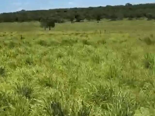 #FA0036-DCI - Fazenda para Venda em Santa Rita do Pardo - MS - 2