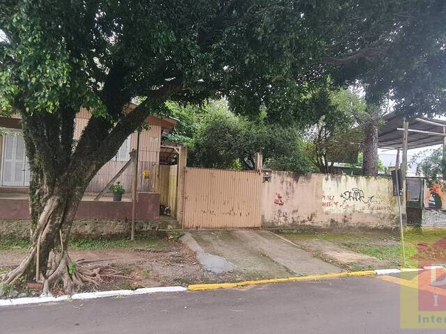 Área para Venda em Sapiranga - 4