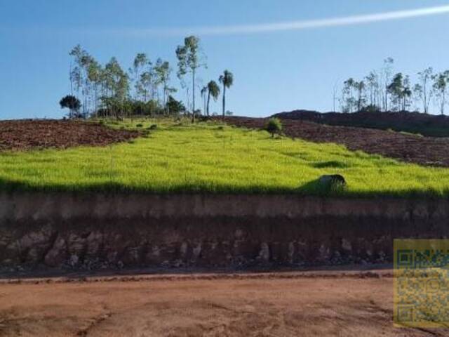 #TE0033-DCI - Terreno para Venda em Araricá - RS - 2