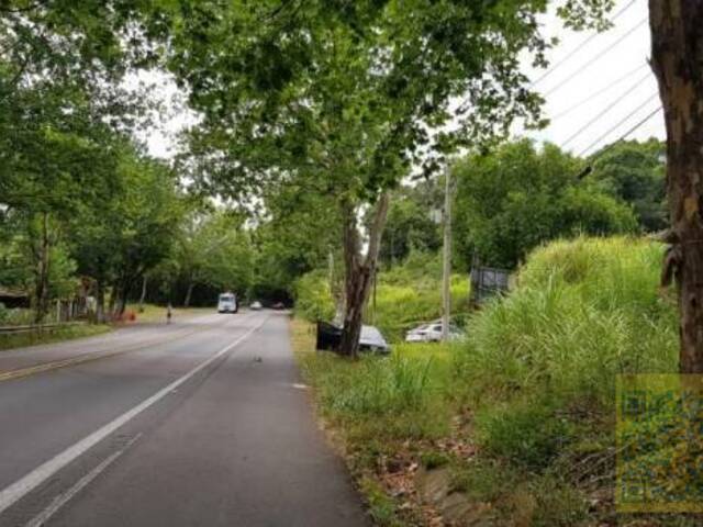 Terreno para Venda em Dois Irmãos - 5