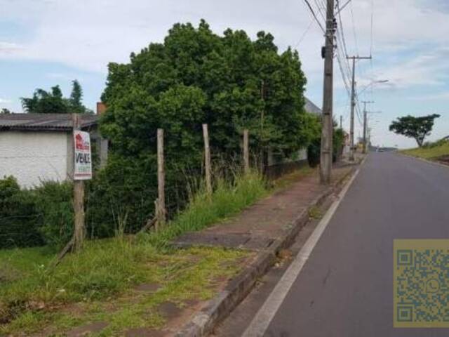 Terreno para Venda em Sapiranga - 3