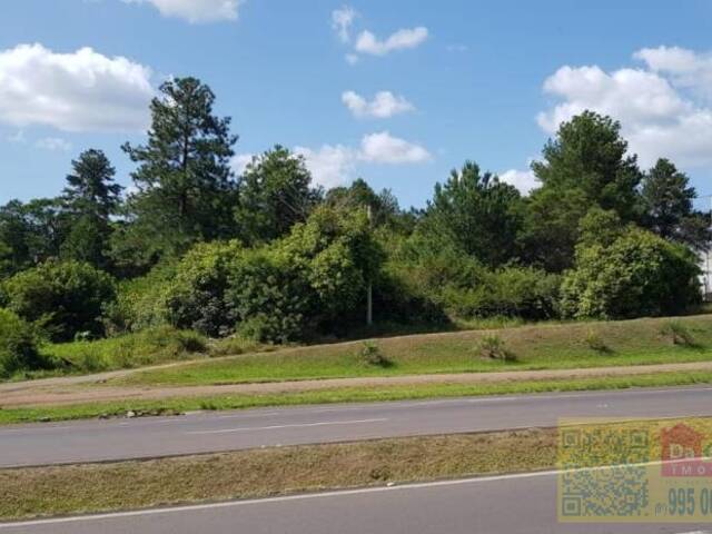 Venda em Amaral Ribeiro - Sapiranga