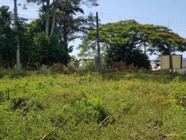 Terreno para Venda em Sapiranga - 4