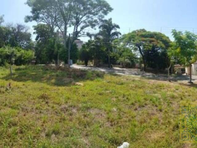 Venda em Centro - Sapiranga