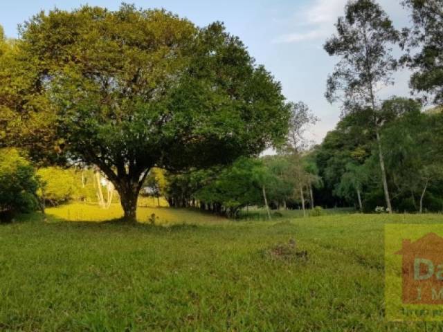 Área para Venda em Sapiranga - 3