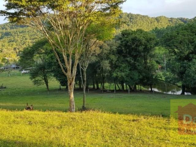 Área para Venda em Sapiranga - 4