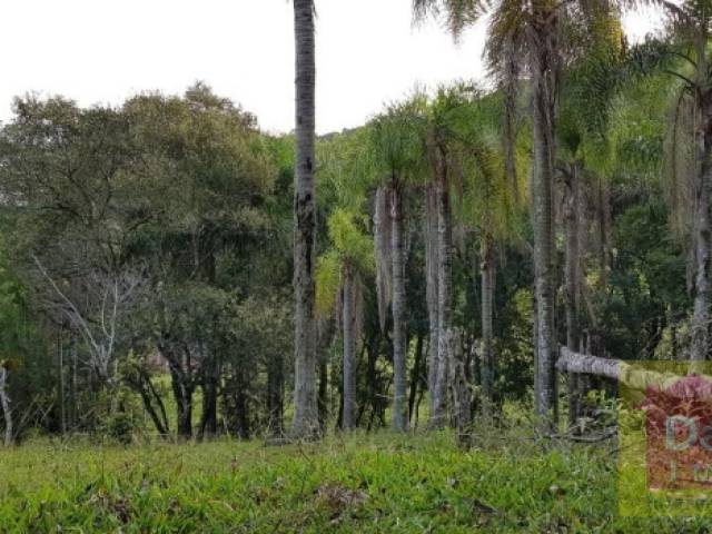 Área para Venda em Sapiranga - 5