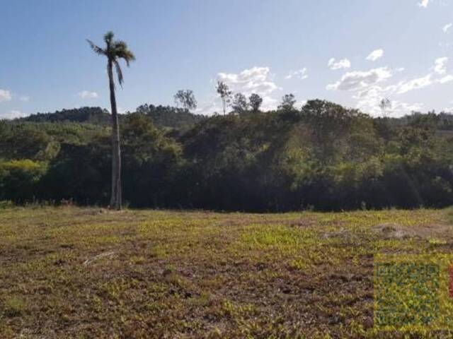 #AR0011 - Área para Venda em Sapiranga - RS - 1
