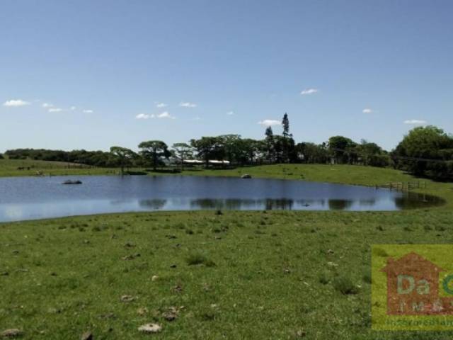 Fazenda para Venda em São Lourenço do Sul - 5