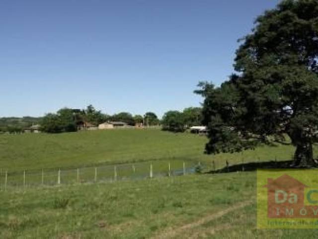 Fazenda para Venda em São Lourenço do Sul - 4