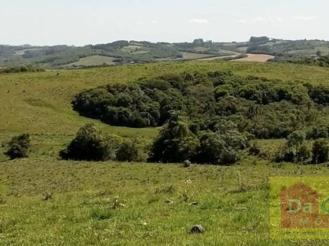 Fazenda para Venda em São Lourenço do Sul - 2