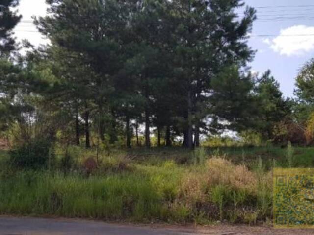 Terreno para Venda em Sapiranga - 5