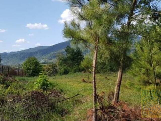 #TE0060-DCI - Terreno para Venda em Sapiranga - RS - 1