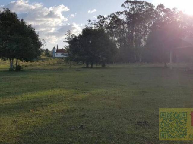 Área para Venda em Araricá - 4