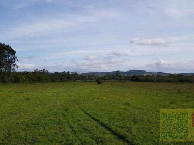 #FA0003-DCI - Fazenda para Venda em Sapiranga - RS - 3
