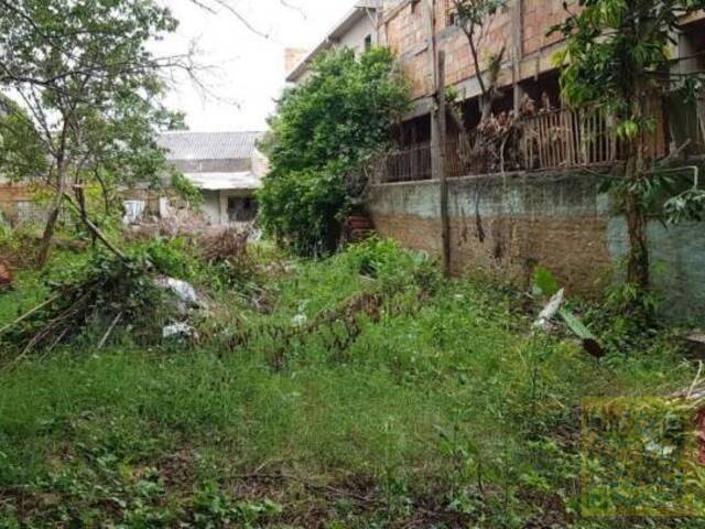 Terreno para Venda em Porto Alegre - 4