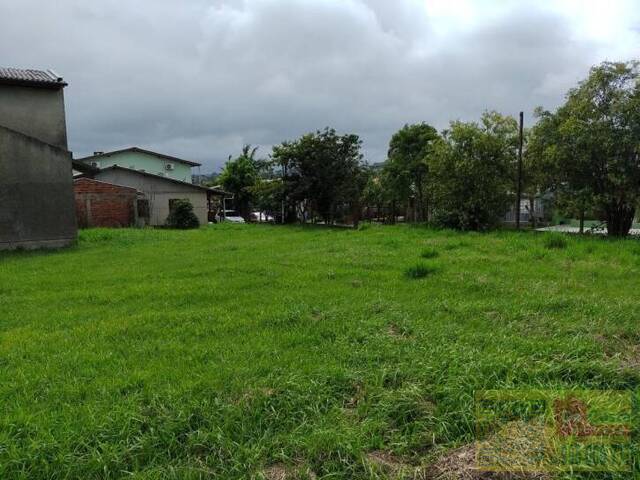#PA0004 - Pavilhão para Venda em Novo Hamburgo - RS - 3