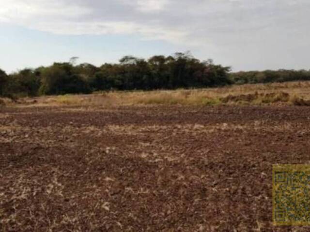 #FA0006-DCI - Fazenda para Venda em Maracaju - MS - 1