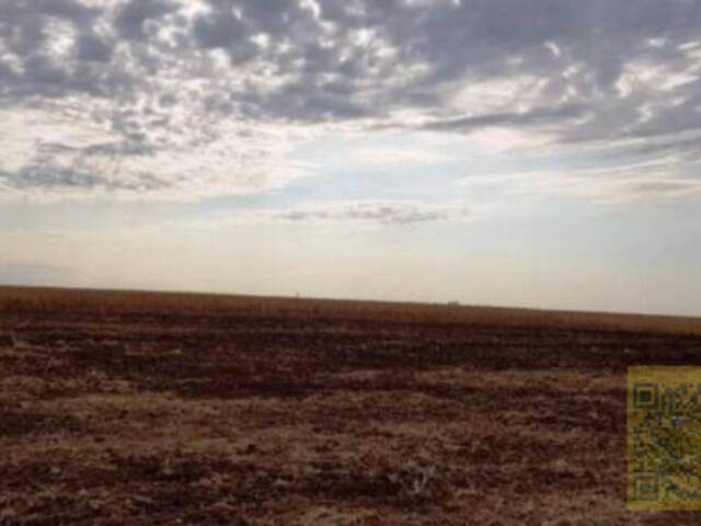 Fazenda para Venda em Maracaju - 3