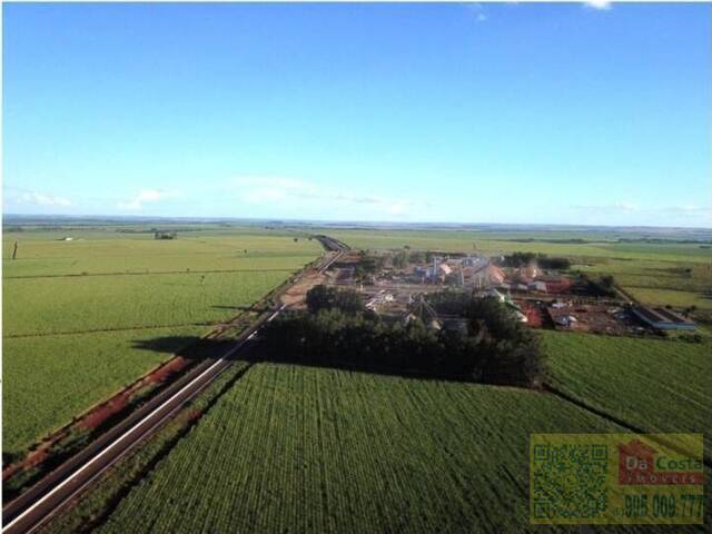 #FA0007 - Fazenda para Venda em Dourados - MS - 3